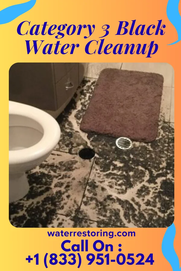 Category 3 Black Water Cleanup in Deaver, WY
