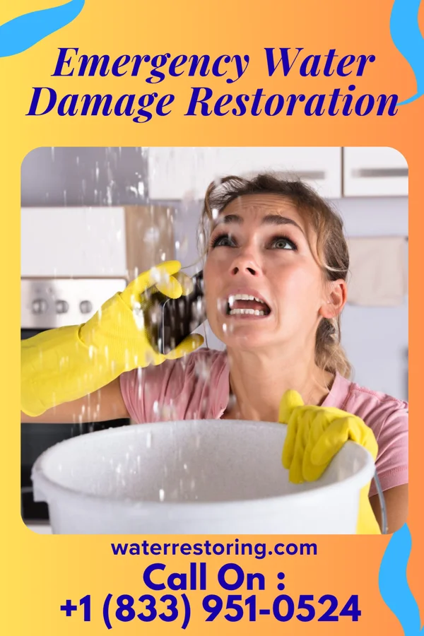 Emergency Water Damage Restoration in Deaver, WY